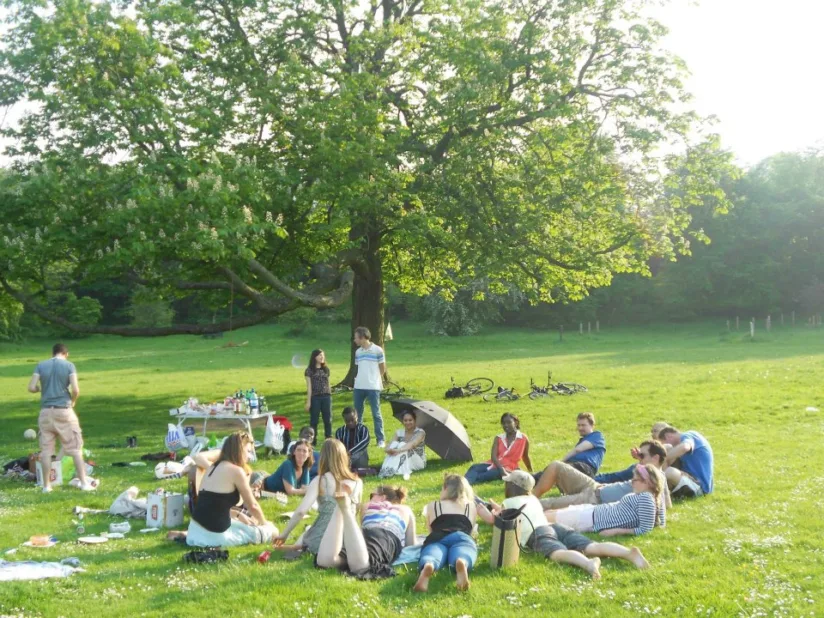 Crear retiros holísticos exitosos