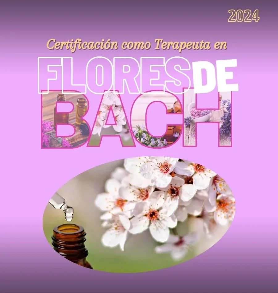miniatura del curso
