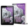 Constelaciones Familiares cuánticas - UNIVERSA curso completo