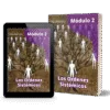 Constelaciones Familiares cuánticas - UNIVERSA curso completo