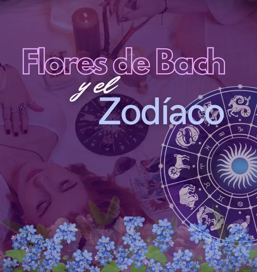 miniatura del curso