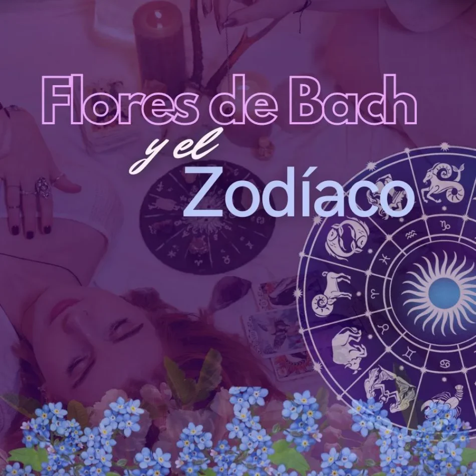 miniatura del curso