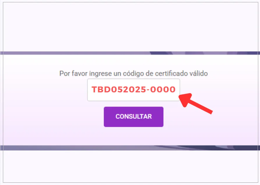Cómo ingresar el número RUE en el buscador